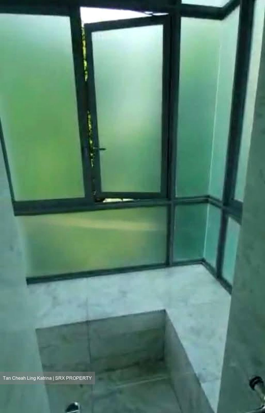 Orange Grove Residences (D10), Condominium #558951231